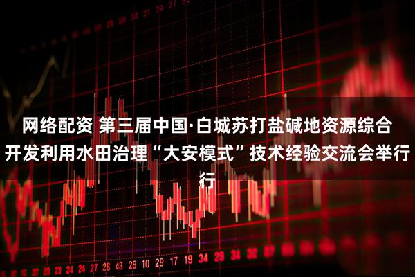 网络配资 第三届中国·白城苏打盐碱地资源综合开发利用水田治理“大安模式”技术经验交流会举行