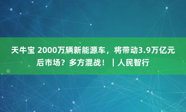 天牛宝 2000万辆新能源车，将带动3.9万亿元后市场？多方混战！｜人民智行