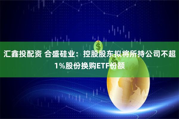 汇鑫投配资 合盛硅业：控股股东拟将所持公司不超1%股份换购ETF份额