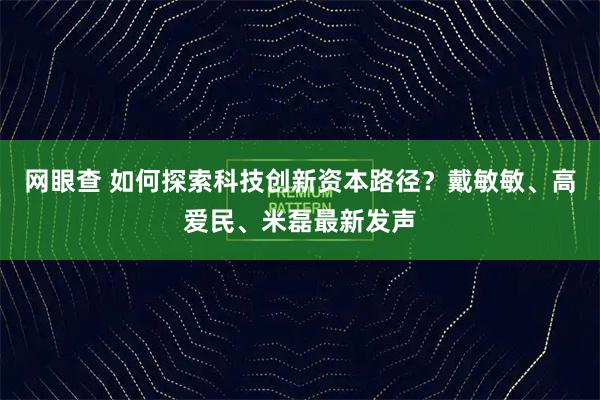 网眼查 如何探索科技创新资本路径？戴敏敏、高爱民、米磊最新发声